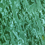 United States Geological Survey North Of Fortymile Bend, FL (1973, 24000-Scale) digital map