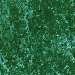United States Geological Survey North Of Lone Palm Head, FL (1974, 24000-Scale) digital map