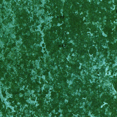 United States Geological Survey North Of Lone Palm Head, FL (1974, 24000-Scale) digital map