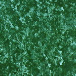 United States Geological Survey North Of Lone Palm Head, FL (1974, 24000-Scale) digital map