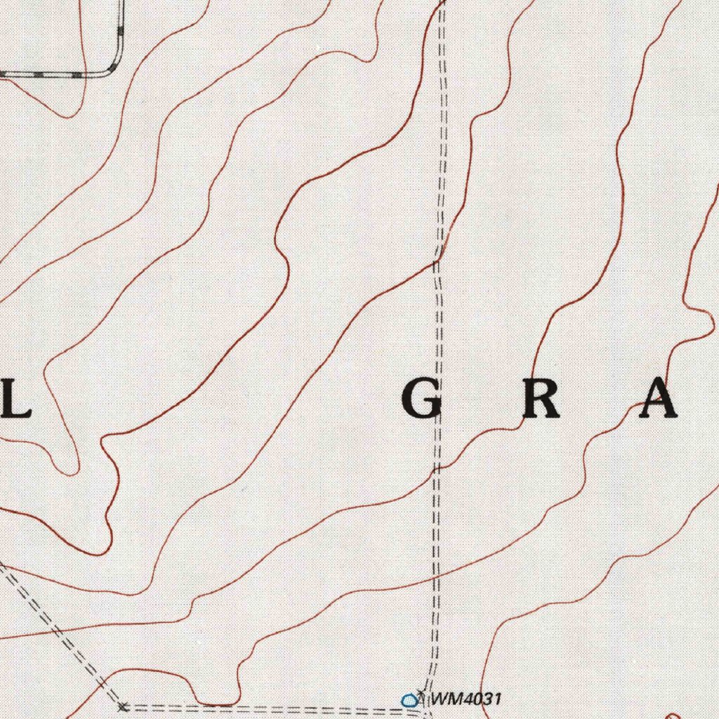 Hunting Map Cow North Of Red Cow Draw, TX (1998, 24000-Scale) Map by United States ...