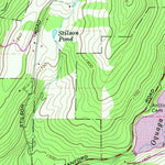 United States Geological Survey North Sanford, NY (1965, 24000-Scale) digital map