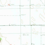 United States Geological Survey Northwest Pontiac, IL (1983, 24000-Scale) digital map