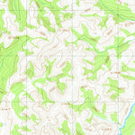 United States Geological Survey Norton Bay C-3, AK (1950, 63360-Scale) digital map