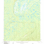 United States Geological Survey Nulato C-3, AK (1952, 63360-Scale) digital map