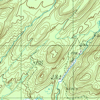 United States Geological Survey Number Four, NY (1989, 25000-Scale) digital map