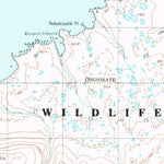 United States Geological Survey Nunivak Island B-4, AK (1952, 63360-Scale) digital map