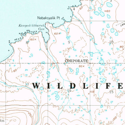 United States Geological Survey Nunivak Island B-4, AK (1952, 63360-Scale) digital map