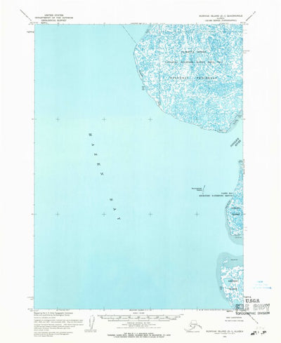 United States Geological Survey Nunivak Island D-1, AK (1954, 63360-Scale) digital map