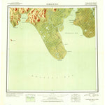 United States Geological Survey Nushagak Bay, AK (1949, 250000-Scale) digital map