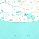 United States Geological Survey Nushagak Bay C-1, AK (1952, 63360-Scale) digital map