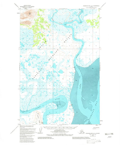 United States Geological Survey Nushagak Bay D-3, AK (1948, 63360-Scale) digital map