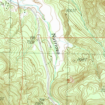 United States Geological Survey Nutrioso, AZ (1991, 24000-Scale) digital map