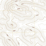 United States Geological Survey Nutt, NM (2020, 24000-Scale) digital map