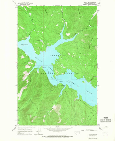 United States Geological Survey Nyack SW, MT (1964, 24000-Scale) digital map
