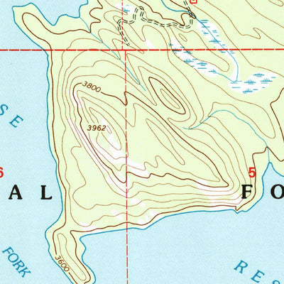 United States Geological Survey Nyack SW, MT (1994, 24000-Scale) digital map