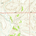 United States Geological Survey O Bar O Canyon East, NM (1981, 24000-Scale) digital map