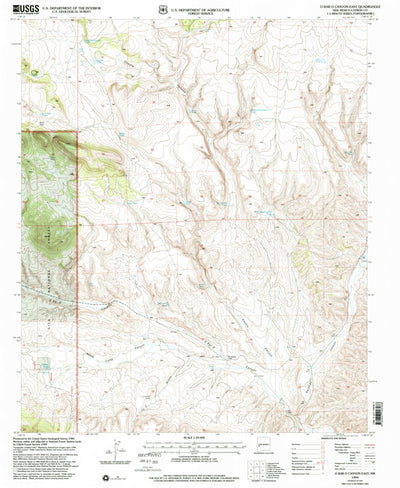 United States Geological Survey O Bar O Canyon East, NM (1999, 24000-Scale) digital map