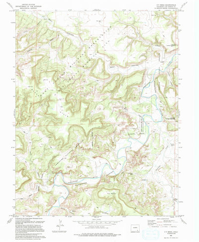 United States Geological Survey O V Mesa, CO (1993, 24000-Scale) digital map