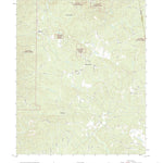 United States Geological Survey Oak Level, AL (2021, 24000-Scale) digital map