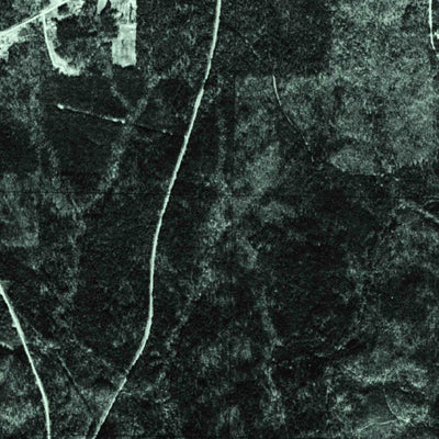 United States Geological Survey Oak Level, AL-GA (1975, 24000-Scale) digital map