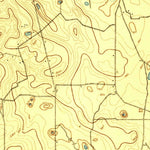United States Geological Survey Ocala, FL (1895, 62500-Scale) digital map
