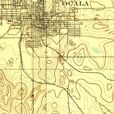 United States Geological Survey Ocala, FL (1895, 62500-Scale) digital map