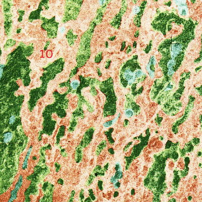 United States Geological Survey Ochopee, FL (1972, 24000-Scale) digital map