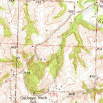 United States Geological Survey Odessa North, MO (1949, 24000-Scale) digital map