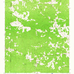 United States Geological Survey Odessadale, GA (1964, 24000-Scale) digital map