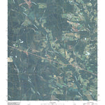 United States Geological Survey Odum, GA (2011, 24000-Scale) digital map