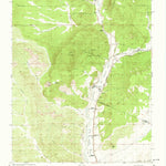 United States Geological Survey Ojo Caliente, NM (1953, 24000-Scale) digital map