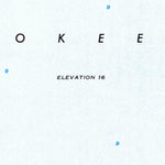 United States Geological Survey Okeechobee SE, FL (1971, 24000-Scale) digital map