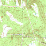 United States Geological Survey Okmulgee South, OK (1971, 24000-Scale) digital map
