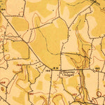 United States Geological Survey Olar, SC (1919, 62500-Scale) digital map