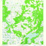 United States Geological Survey Old Myakka, FL (1944, 24000-Scale) digital map