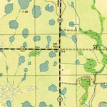 United States Geological Survey Old Myakka, FL (1944, 31680-Scale) digital map