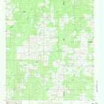 United States Geological Survey Old Panola, TX-LA (1983, 24000-Scale) digital map