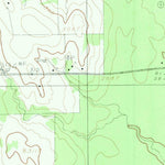 United States Geological Survey Old Panola, TX-LA (1983, 24000-Scale) digital map