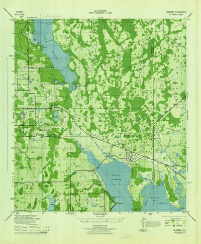 United States Geological Survey Oldsmar, FL (1944, 31680-Scale) digital map