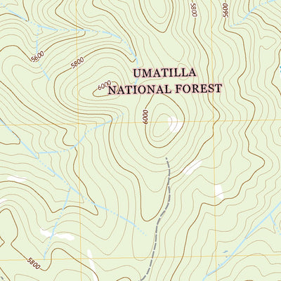 United States Geological Survey Olive Lake, OR (2020, 24000-Scale) digital map