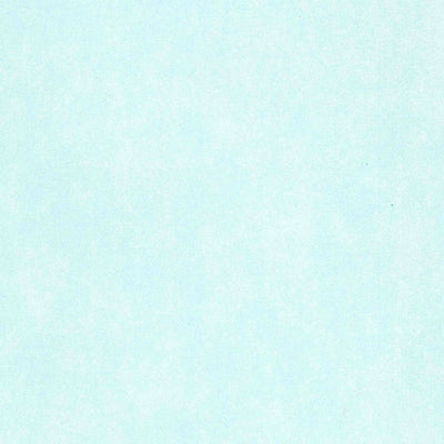 United States Geological Survey Olowalu, HI (1955, 24000-Scale) digital map