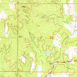 United States Geological Survey Oma, MS (1971, 24000-Scale) digital map