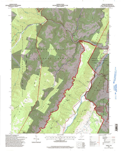 United States Geological Survey Onego, WV (1995, 24000-Scale) digital map