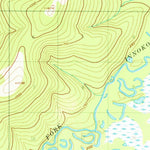 United States Geological Survey Ophir D-1, AK (1954, 63360-Scale) digital map