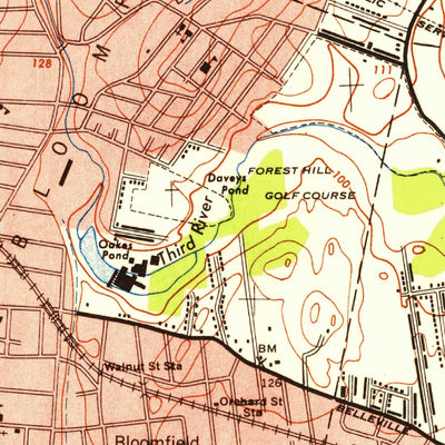 United States Geological Survey Orange, NJ (1947, 24000-Scale) digital map