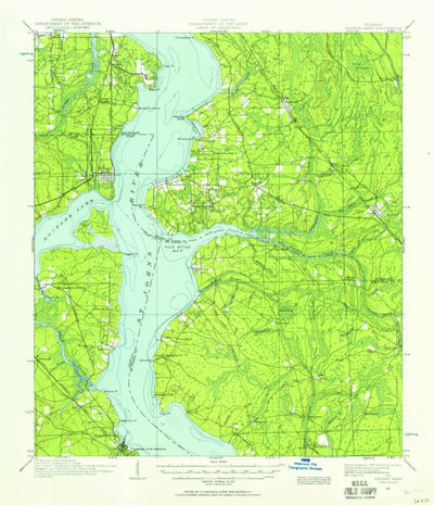 United States Geological Survey Orange Park, FL (1917, 62500-Scale) digital map