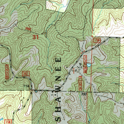 United States Geological Survey Oraville, IL (1996, 24000-Scale) digital map