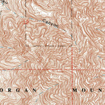 United States Geological Survey Organ, NM (1955, 24000-Scale) digital map