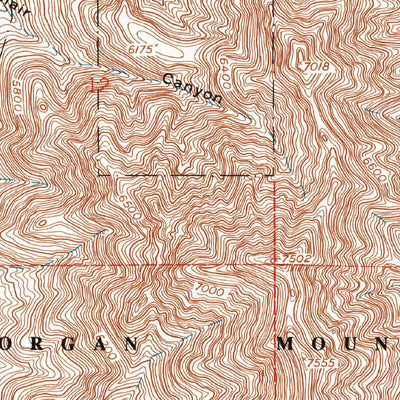 United States Geological Survey Organ, NM (1955, 24000-Scale) digital map